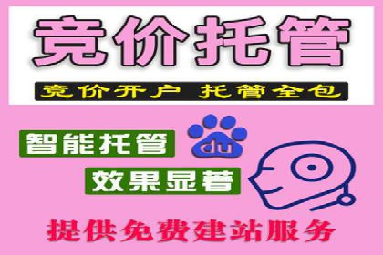 不同平台的SEM广告投放比较及成功案例分析
